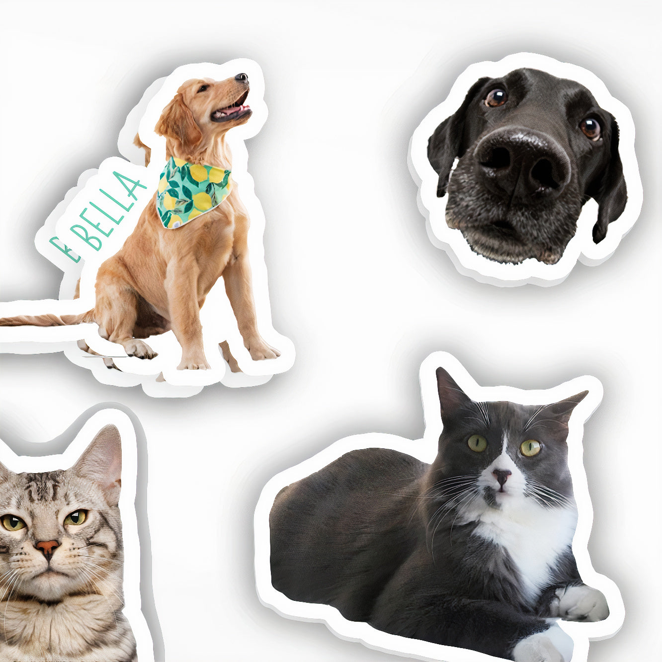 Pets Rectangular Note Sticker Custom Pet Stickers | Turn Your Pet Photo into Stickers ...