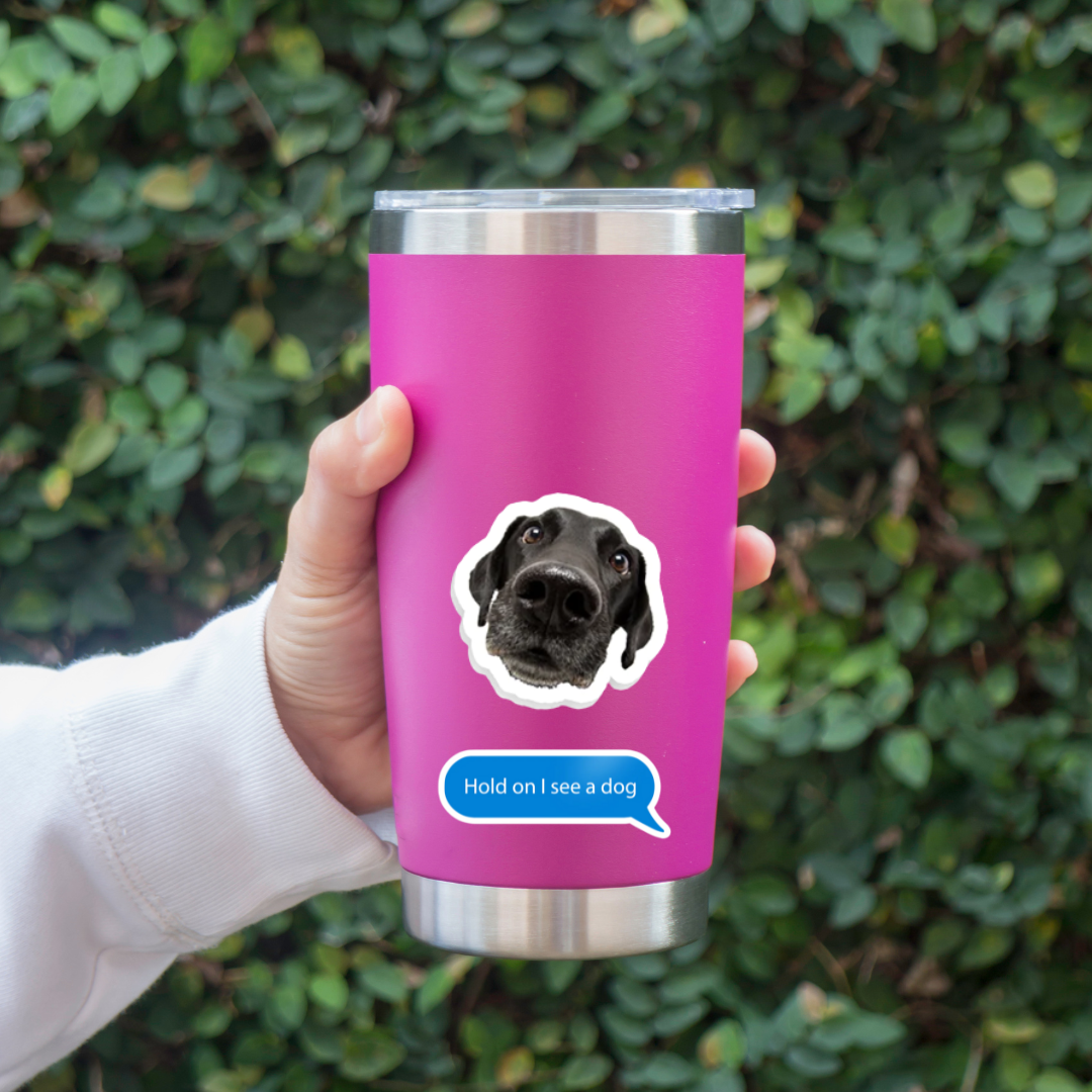 Custom Water Bottle Stickers  Stickers for your Hydro flask or Stanley Cup  –