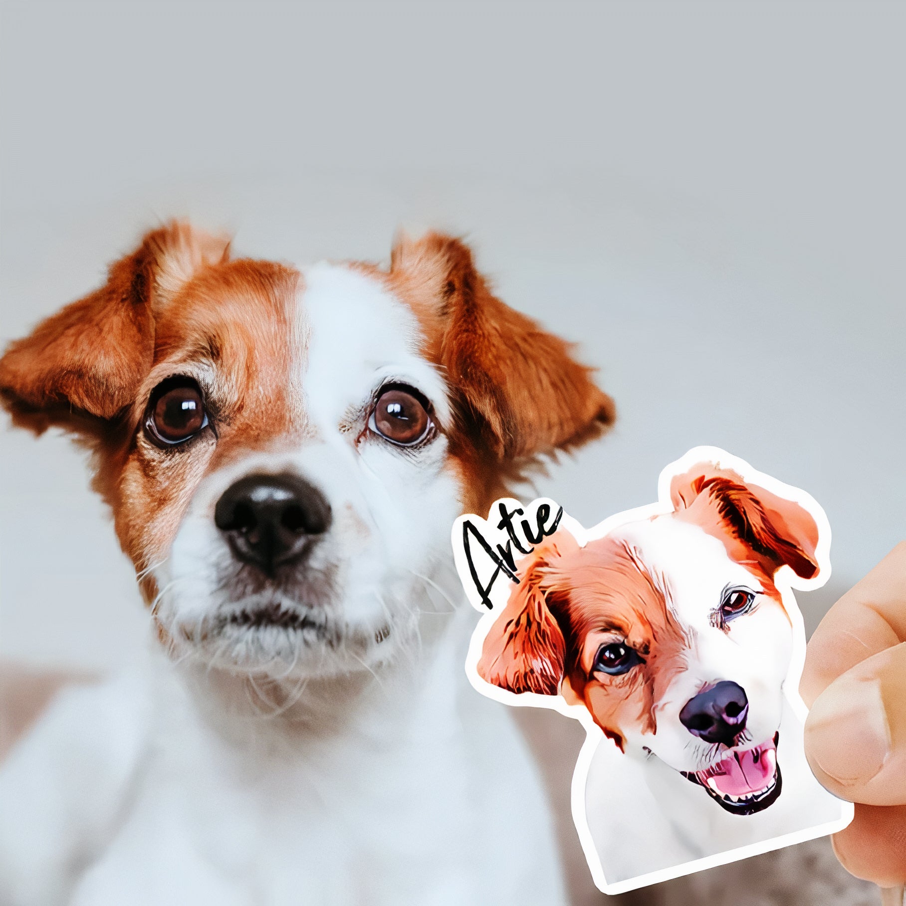 Cute Dogs Sticker Sheet Set of 2 -  Glossy & Handmade